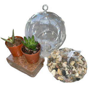 ערכת טרריום