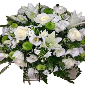 סידור לבן ירוק