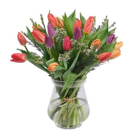 טוליפים באגרטל