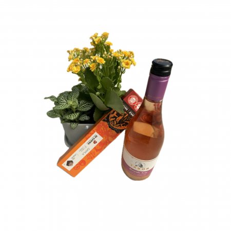 המארז המושלם